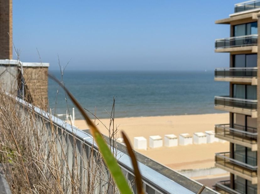 Penthouse gelegen te St Idesbald omringd door ruime, zonnige terrassen met panoramisch zicht.&amp;nbsp;<br />
<br />
Indeling:<br />
<br />
	Lichtrijke le