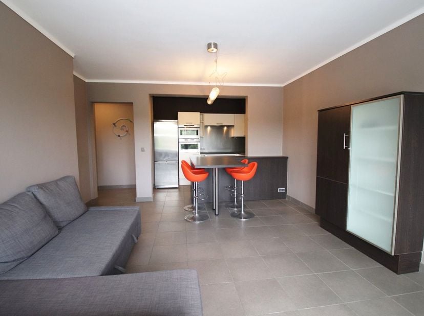 Dit aangenaam éénslaapkamer-appartement&amp;nbsp;beschikt over een inkomhal, een apart toilet, een handige berging met aansluiting voor een wasmachine, ee