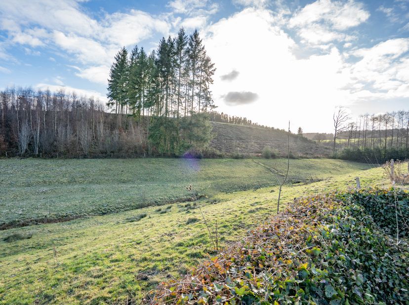 Het agentschap ERA B-Lux stelt u met plezier dit prachtige perceel voor, gelegen in de gemeente La Roche-en-Ardenne.Met een oppervlakte van 20 are gen