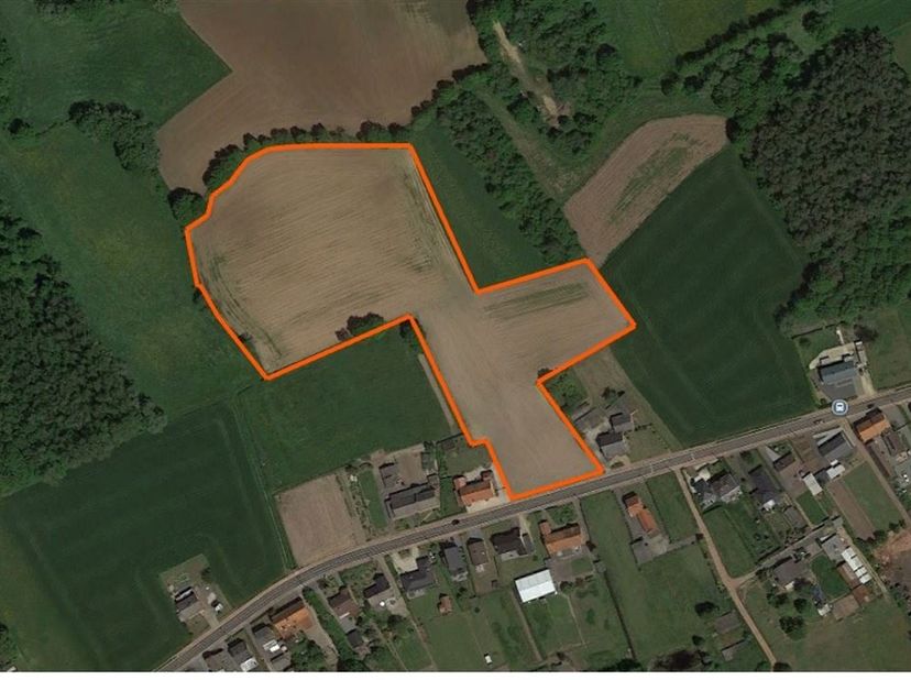 Terrain à bâtir avec prairie sous-jacente sur plus de 2,3ha - opportunité unique en milieu rural à Werchter (Rotselaar)<br />
Découvrez cette proprié