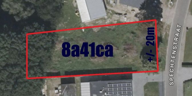 Grond te koop in Spechtenstraat 11, 3940 Hechtel