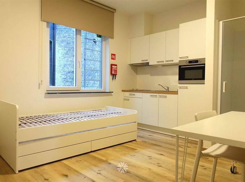 GENT - Zwijnaardsesteenweg 532: Op zoek naar een gerenoveerde en gemeubelde studio te huur in Gent? Dan is dit pand mogelijks iets voor u. <br />
<br