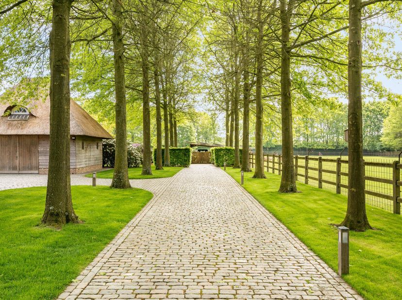 Te midden van rust en groen, verscholen op een indrukwekkend domein van maar liefst 2,3 hectare, bevindt zich deze uitzonderlijke hoeve, gebouwd in 20