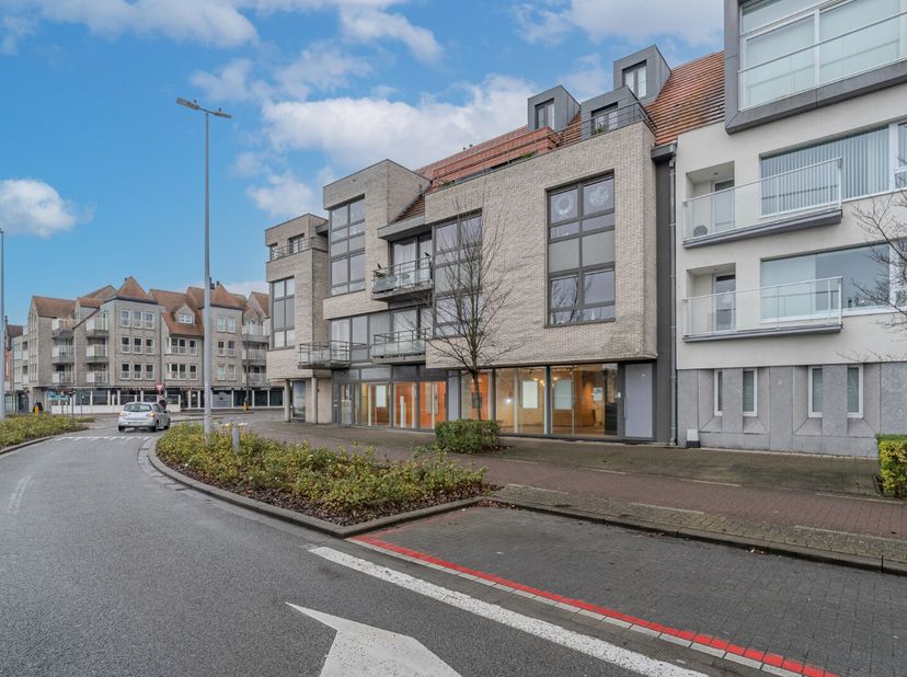 Bien professionnel à louer
                    à 8620 Nieuwpoort