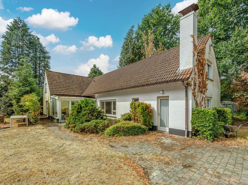Huis te koop in Wilgenlaan 10,
                    2390 Westmalle