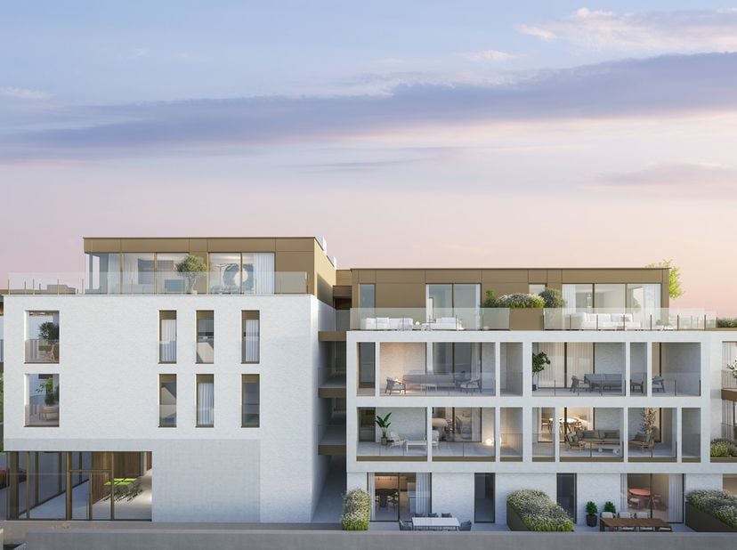 Bien professionnel à vendre
                    à 3560 Lummen