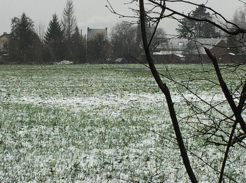 OPTIE:<br />
Saint-Denis (Bergen - Shape): Bouwgrond voor de bouw van +/-50 bungalows (#2X+1_DEDE_HAI)<br />
• 2,2 hectare recreatiegebied met twee op