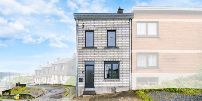 Maison à vendre à Rue de l'Etang 21, 4102 Ougrée