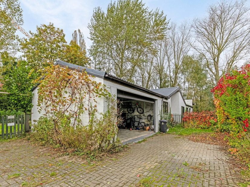 Deze charmante, landelijke laagbouwwoning&amp;nbsp; is gelegen in een zeer aantrekkelijke, groene woonomgeving in een rustige straat te Drongen, op een ru