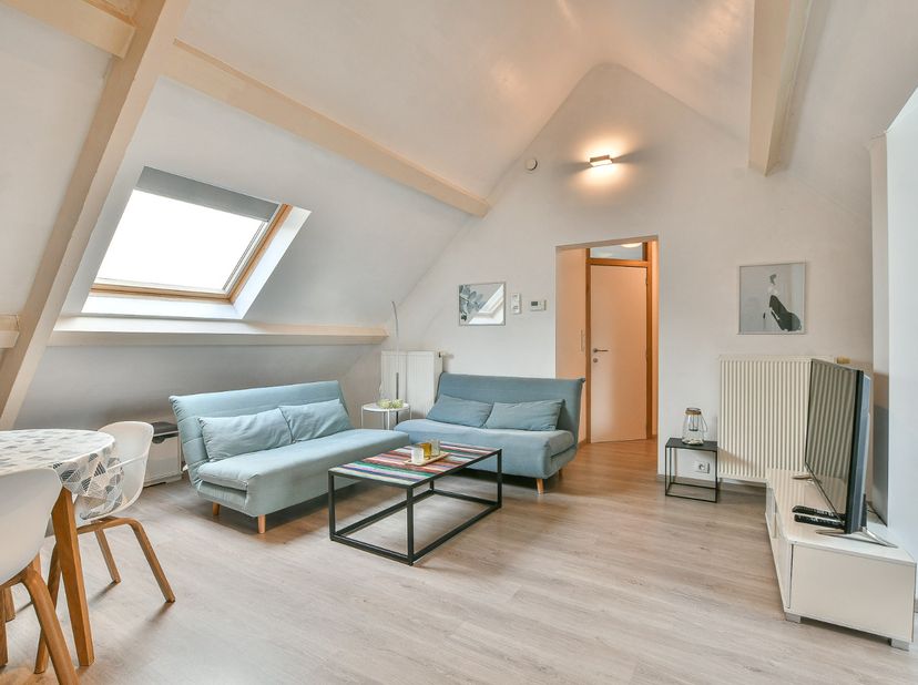 Op wandelafstand van het strand en de duinen bevindt zich dit charmante dakappartement in een karaktervol gebouw uit 1933, volledig gerenoveerd in 201