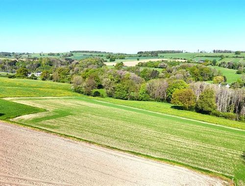                                        Bos te koop in Tohogne, € 159.000
