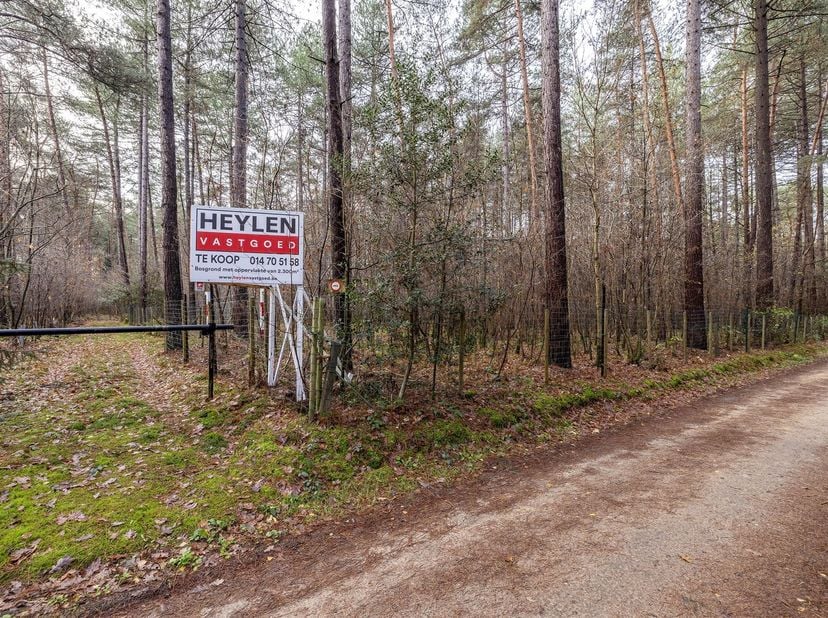 Rustig gelegen, volledig omheinde bosgrond van ca. 2.300 m² te Lichtaart<br />
<br />
Deze mooie bosgrond van circa 2.300 m² is gelegen in een rusti