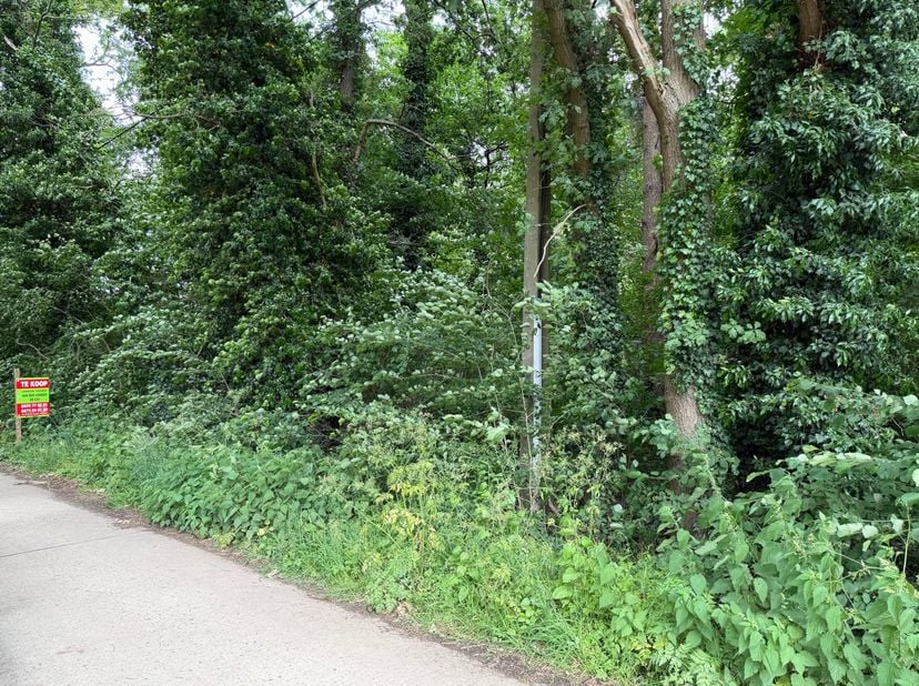 Terrain à vendre
                    à 2220 Heist-op-den-Berg