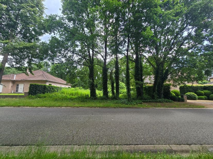 Terrain à vendre
                    à 3582 Koersel