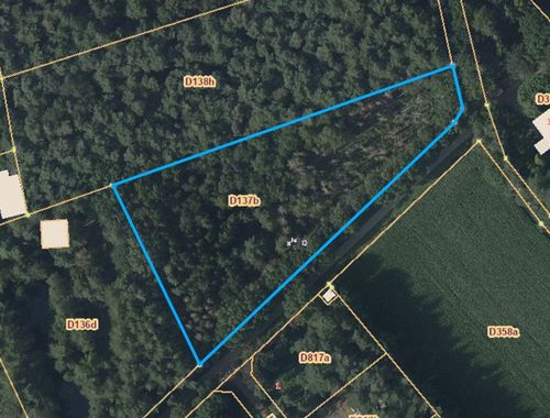                                         Bois à vendre à Gierle, € 65.000
