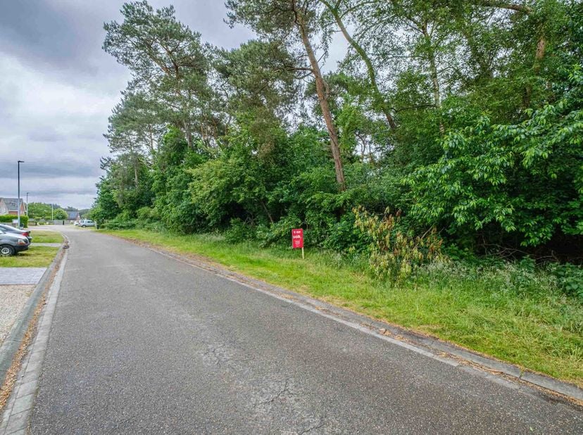 Terrain à vendre
                    à 2490 Balen