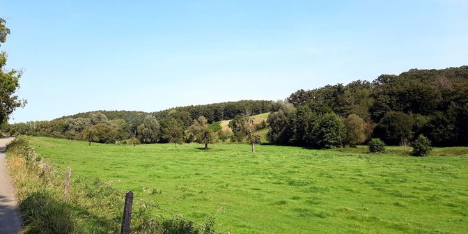 Terrain à vendre à L'Engin, 4890 Thimister