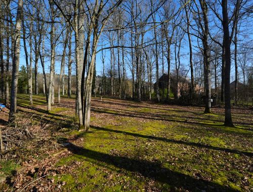                                         Bouwgrond te koop in Barvaux-sur-Ourthe, € 100.000
