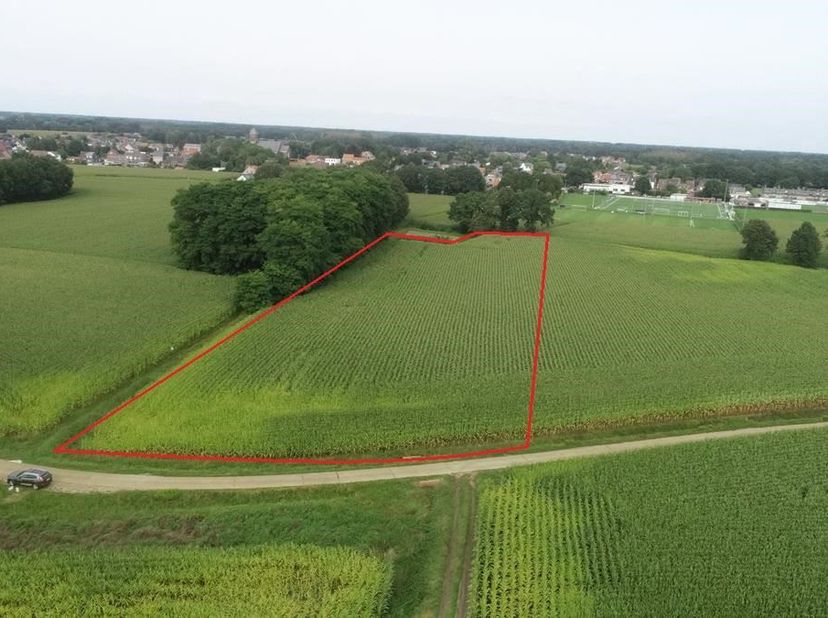 Dit aanbod bestaat uit 1,16 ha akkerland:<br />
<br />
Oppervlakte: 1 ha 16 a 00 ca<br />
Gebruik: akkerland<br />
Bestemming: agrarisch gebied<br />