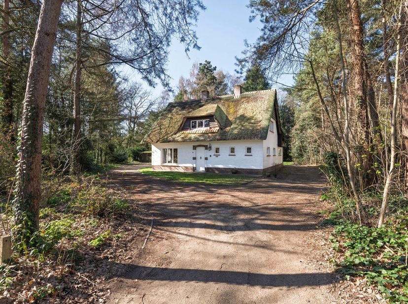 Uitzonderlijk gelegen, te renoveren bosvilla met o.a. 3 slaapkamers, riante en uitstekend georïenteerde woonkamer en private doch open bostuin met ach