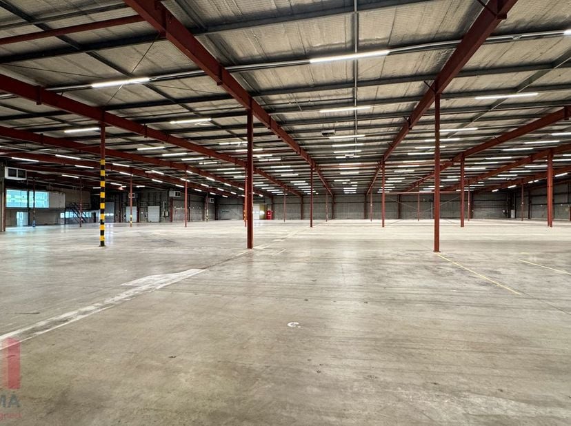 Bedrijfsgebouw met 6.014 m² magazijnruimte (buitenruimte en kantoren optioneel).<br />
Gelegen in Satenrozen, uitstekend bereikbaar via de E19, op 20