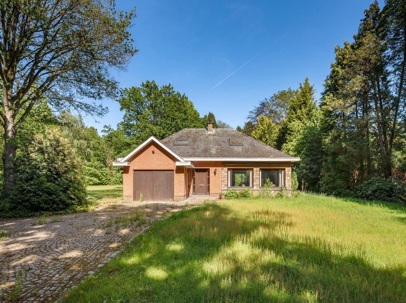 Volledig te renoveren, verkavelbaar eigendom te Putte-Kapellen!<br />
Deze villa op ca. 8.104 m² is gelegen in een autoluwe dreef tussen Heide, Kapell