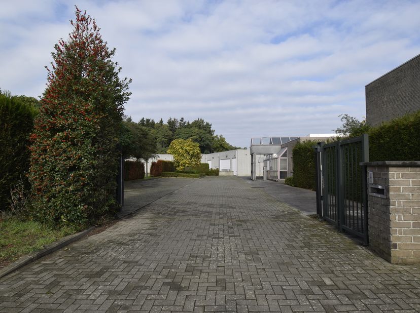 Bien professionnel à louer à ,
                    3580 Beringen