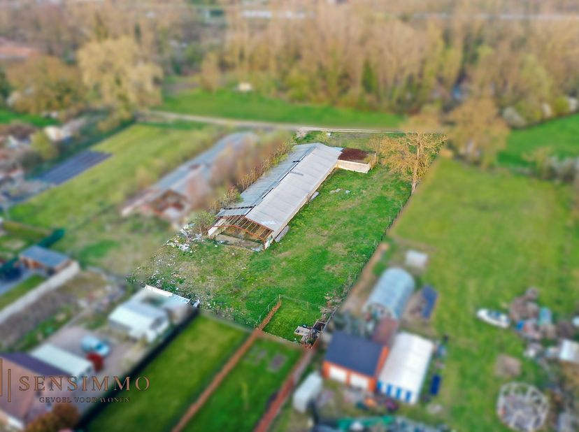 Bien professionnel à vendre
                    à 3630 Mechelen-aan-de-Maas