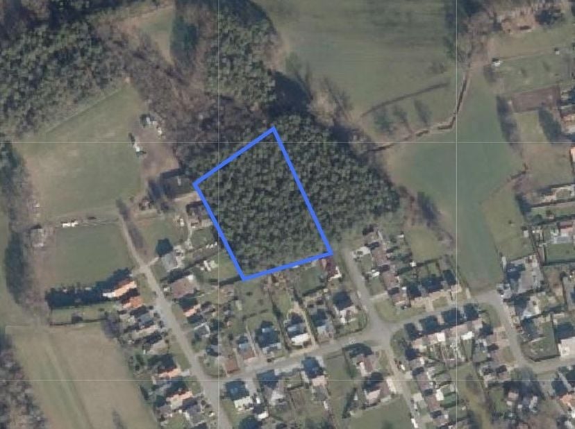 Bos (grove den) gelegen in natuurgebied. Perceel van 74a80ca<br />
Teneinde de Grootdonkstraat te Beverlo, Beringen<br />
Er zijn op dit bos jachtrech