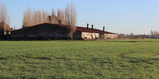 Bedrijfsvastgoed te koop in 8573 Tiegem