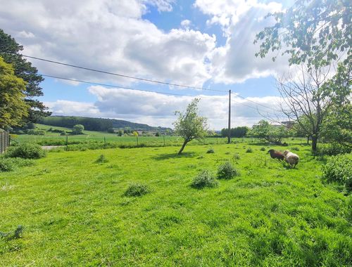                                         Grond te koop in Russeignies, € 140.000
