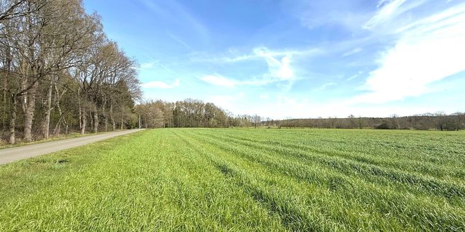 Grond te koop in Jagerseweg, 3980 Tessenderlo