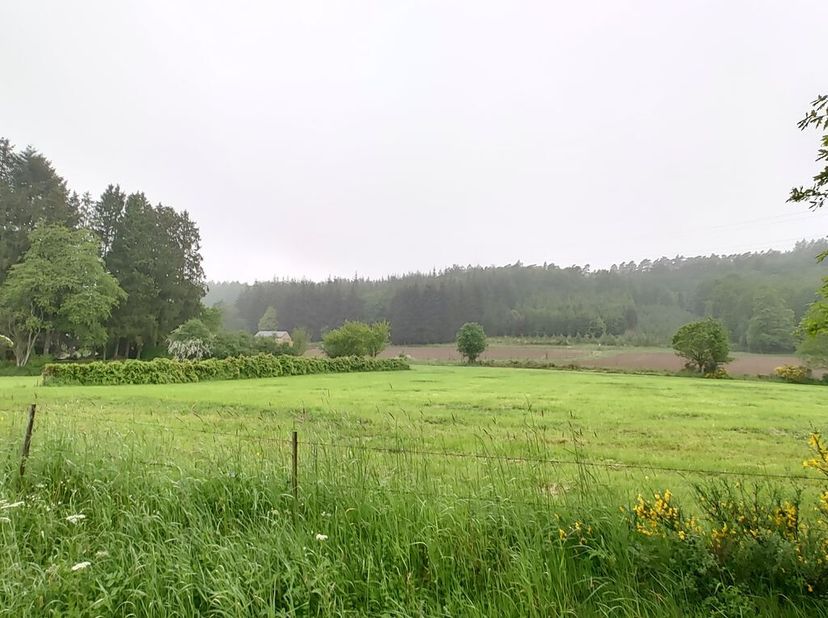 Terrain à vendre
                    à 4987 Chevron