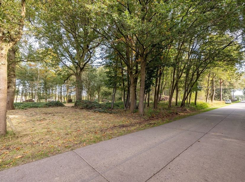 Landbouwgrond van 30a34ca<br />
<br />
Ligging: Zeer rustig en groen gelegen, nabij het centrum van Wechelderzande met een vlotte verbinding naar om