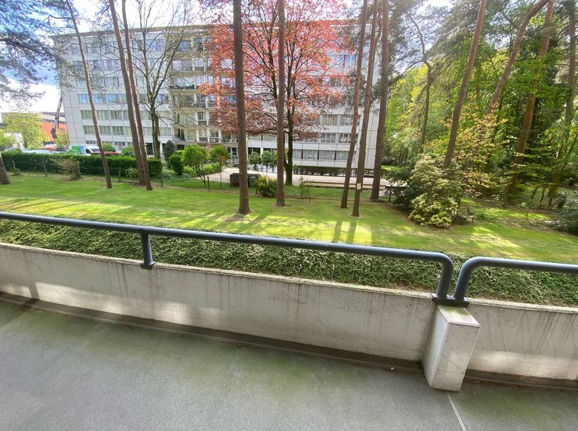 Lichtrijk en ruim appartement, met als eyecatcher de grootte van het terras. Residentie Karekiet is de ideale plek voor wie rust en ruimte zoekt in ee