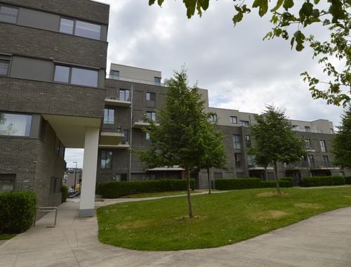                                         Appartement à louer à Gullegem, € 775
