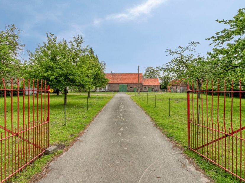 Op een uitzonderlijke landelijke ligging in Beernem, aan de Legeweg 16, bevindt zich deze authentieke hoeve op een indrukwekkend perceel van ca. 3 hec
