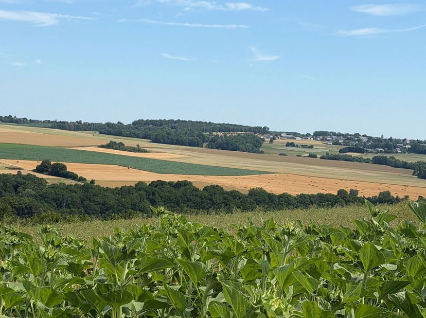 Terrain à bâtir de 24a. 10ca. sis au calme, dans le hameau d’Inzemont.<br />
Celui-ci bénéficie d’une très jolie vue dégagée !<br />
Largeur à front d