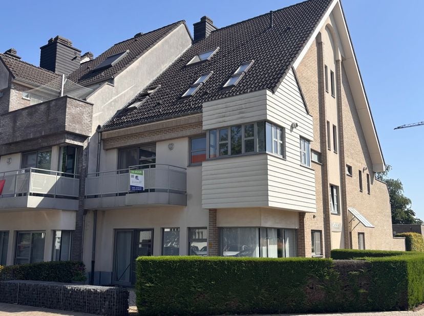 Appartement à louer
                    à 3550 Zolder