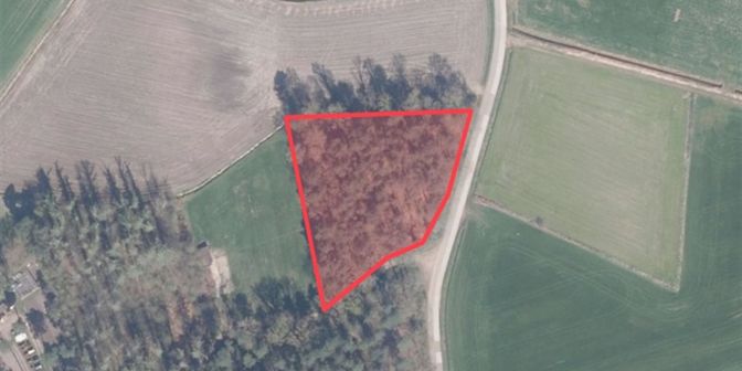 Grond te koop in Borze ZN, 2275 Lille