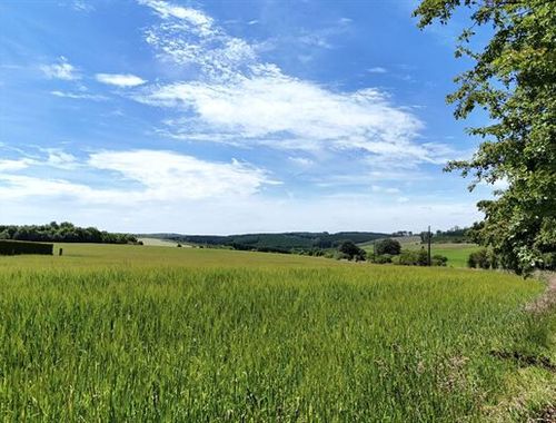                                        Terrain à bâtir à vendre à Fauvillers, € 99.000
