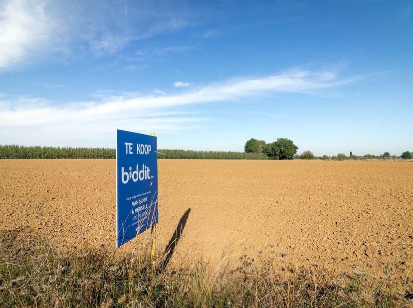 Grond te koop in Smisweg,
                    3800 Brustem