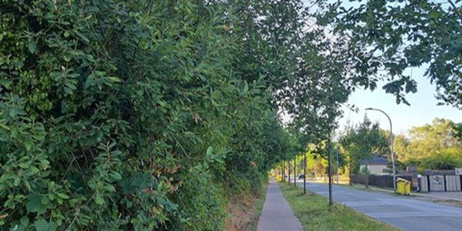 Grond te koop in Meerhoutseweg 102, 2440 Geel