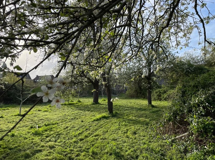 Terrain à vendre à Nijverheidsstraat 15,
                    9420 Mere