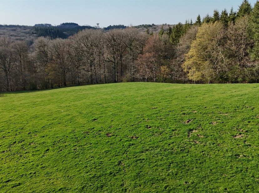 MCA Immobilier vous propose à la vente ce terrain d'exception à Rouge-Minière, sur la commune de Ferrières. <br />
Idéalement situé à proximité de l'E