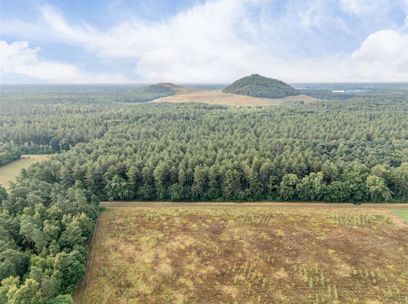 Bosgrond op Grote Heide in Oudsbergen <br />
Bent u op zoek naar een stuk natuur om tot rust te komen of als investering voor de toekomst? In het groe
