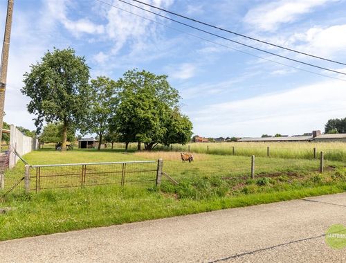                                         Grond te koop in Westerlo, € 248.000
