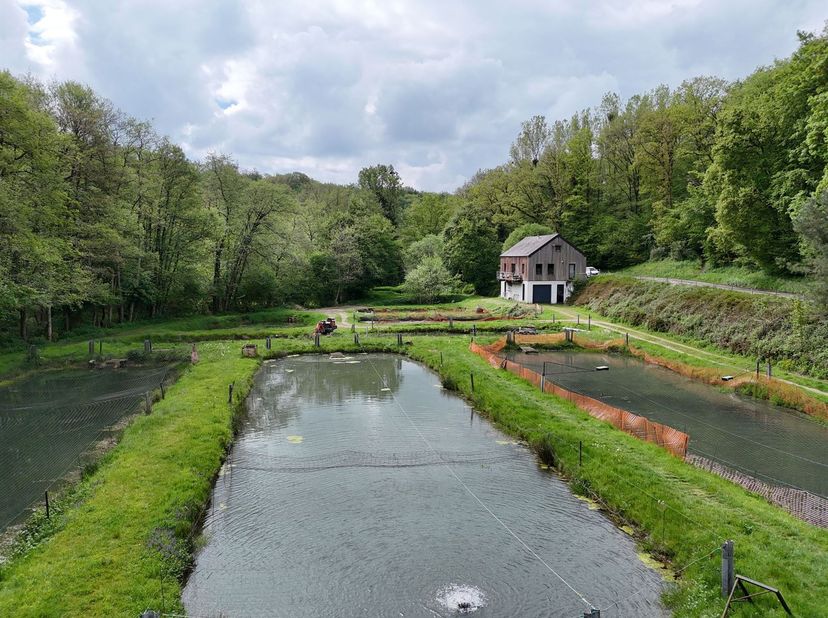 Uitzonderlijk landgoed met viskwekerij en woning op meer dan 1,38 hectare.<br />
Gelegen in een opmerkelijke natuurlijke omgeving, ver weg van elke b