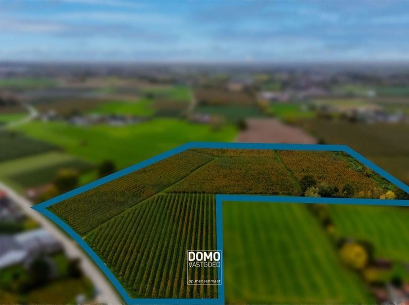 Op zoek naar ruim gelegen agrarische percelen bestemd als weiland/bouwland en boomgaard laag? Dan is dit project met een totale oppervlakte 6ha 17a 62