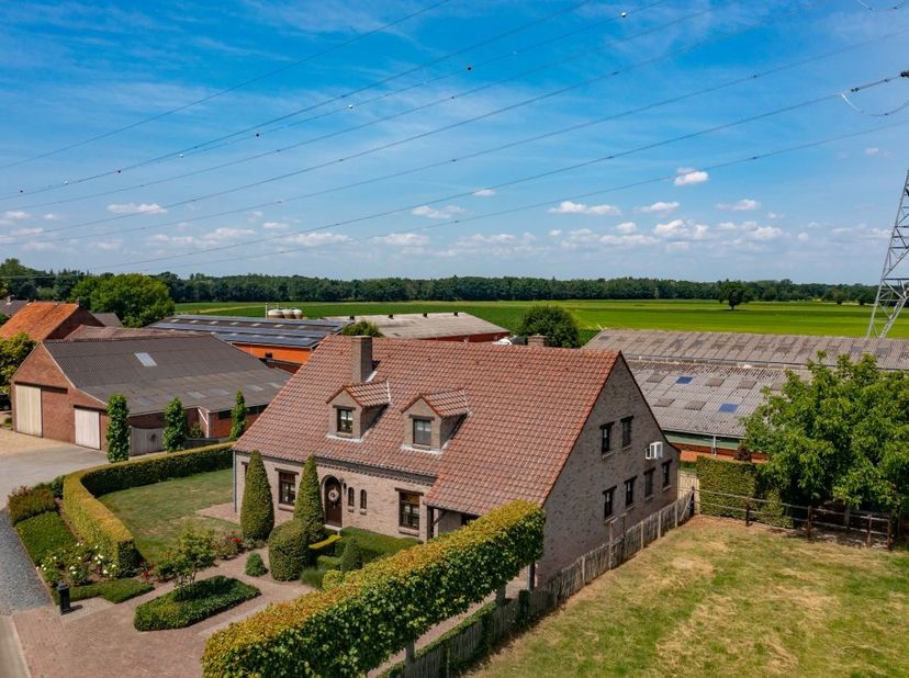 Hoeve te koop te Kinrooi met aanpalende gronden.<br />
Ideaal voor landbouwer in bijberoep, mooie loodsen, up to date varkensstal.<br />
Mogelijkheid
